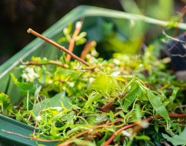 Scenarioanalyse afvalinzameling