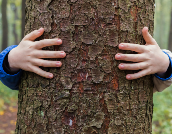 Inkoop voor inzameling afval en grondstoffen